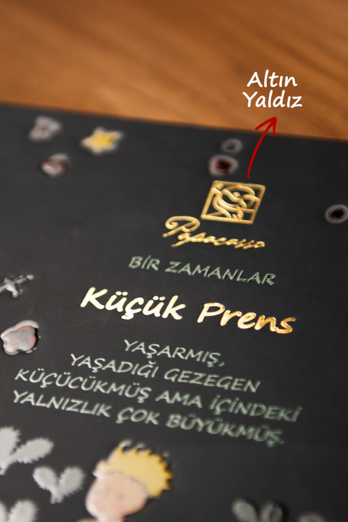 Papacasso Küçük Prens Spiralli Tarihsiz Ajanda